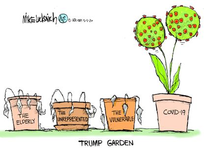 Political Cartoon U.S. Trump Covid garden deaths