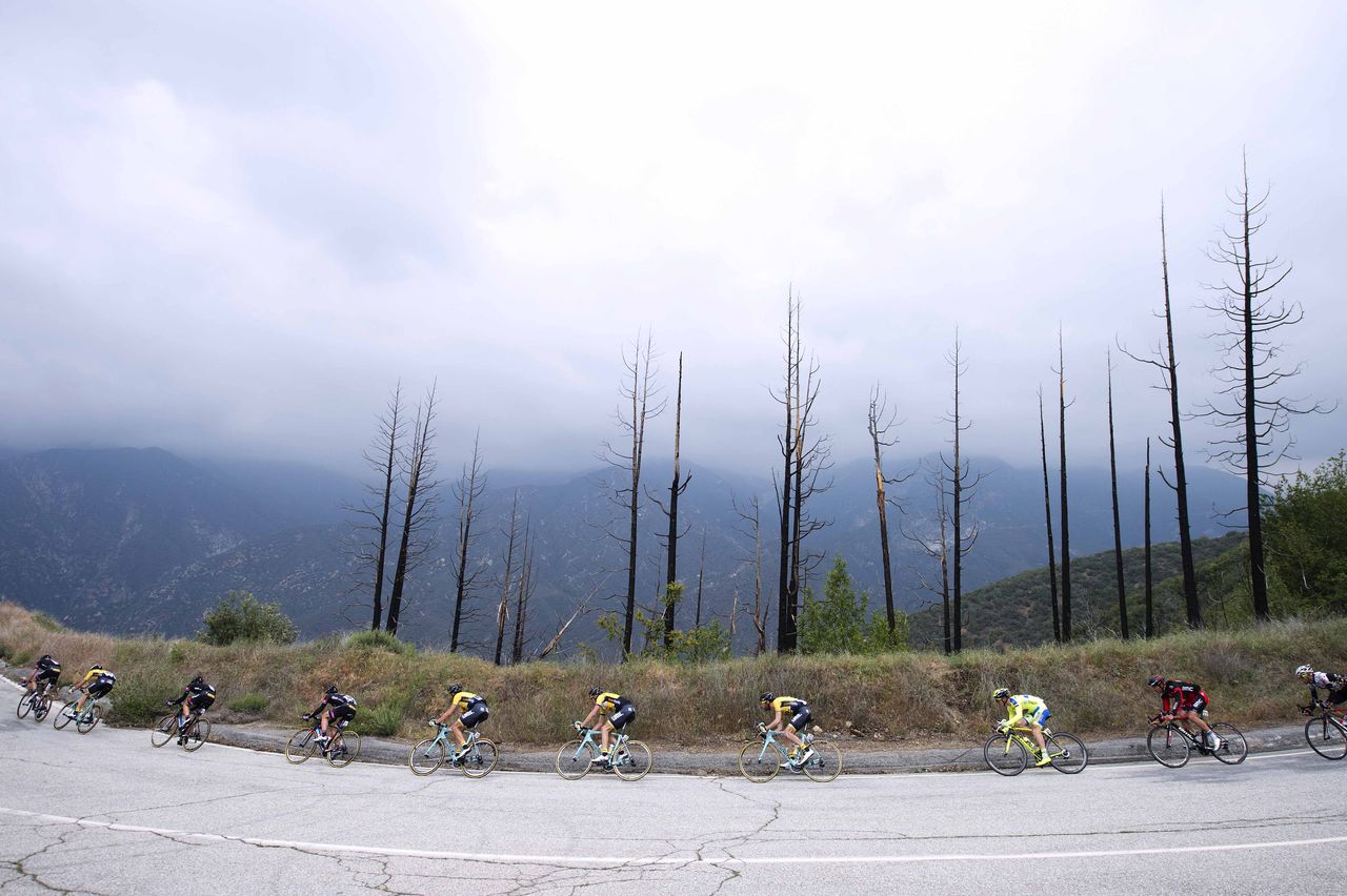The peloton making its way up to Mt Baldy today