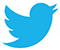 twitter.jpg