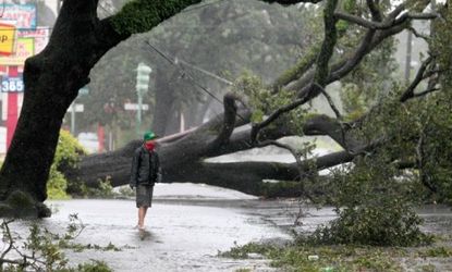 A man stands in front of an uprooted oak tree on Louisiana Avenue as Hurricane Isaac makes land fall in New Orleans on Aug. 29.