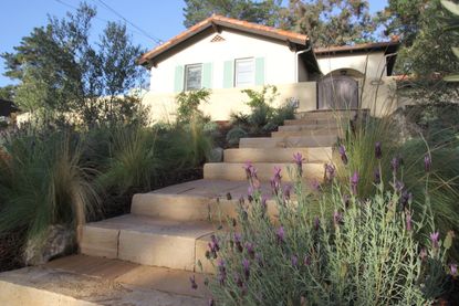 a spanish-style house with french lavender outside