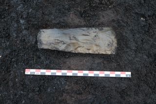 A flint axe head found next to the human remains seems never to have been used; its in a style that dates to about 3600 B.C.