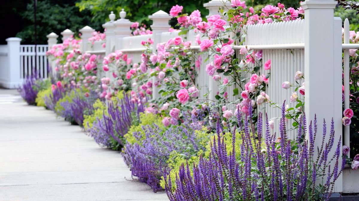 前庭の花壇を完璧にするための 5 つのステップ