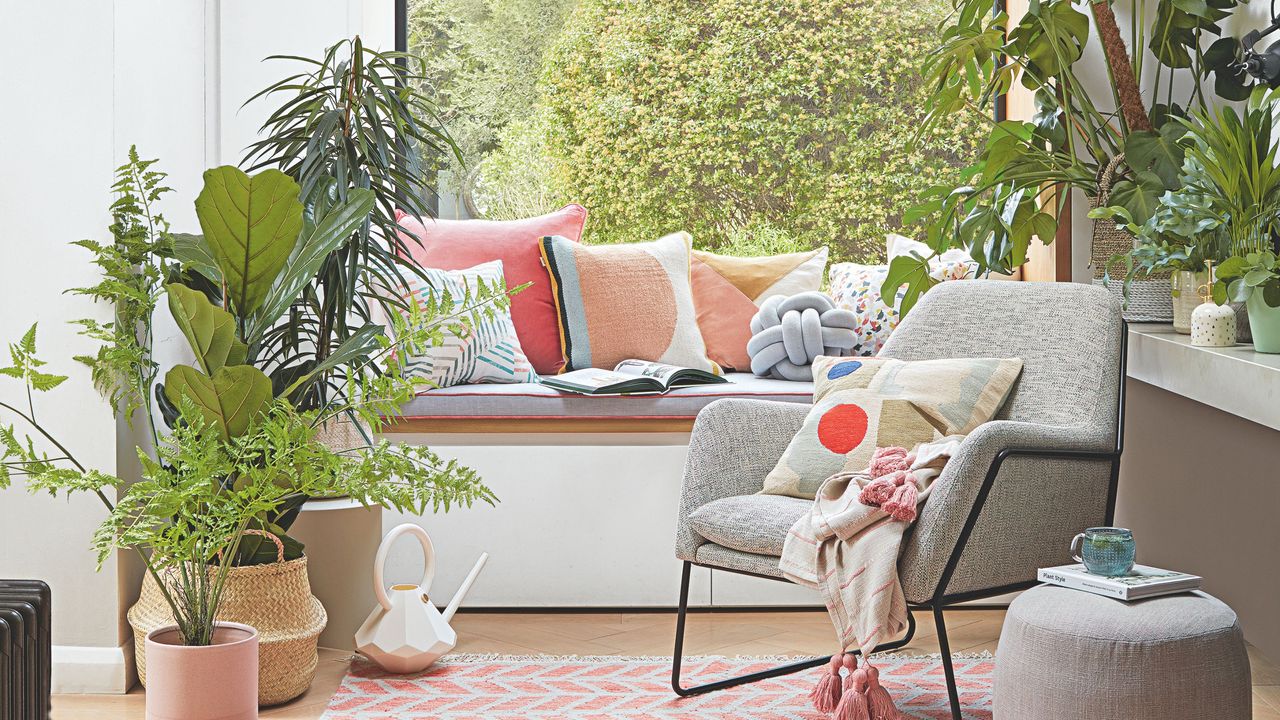 Potted houseplants in living room including monstera plant