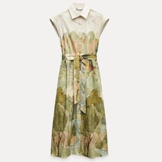 Zara landscape print dress