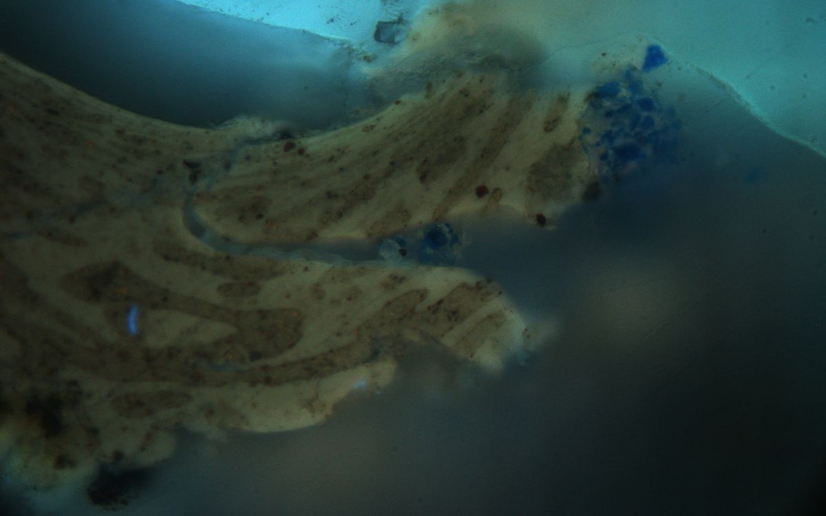 Bed Used in Hotel for 15 Years Turns Out to Be Henry VII’s Marriage Bed