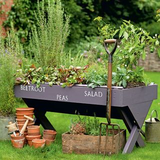 vegetable plant stand with clay pots and garden fork