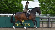 DSC_0173.jpg