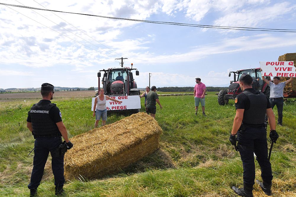 Gendarmes (L and R) hold back protesters with a flock of sheep, during a farmers' protest who attempted to block the stage's route with haystacks and sheep