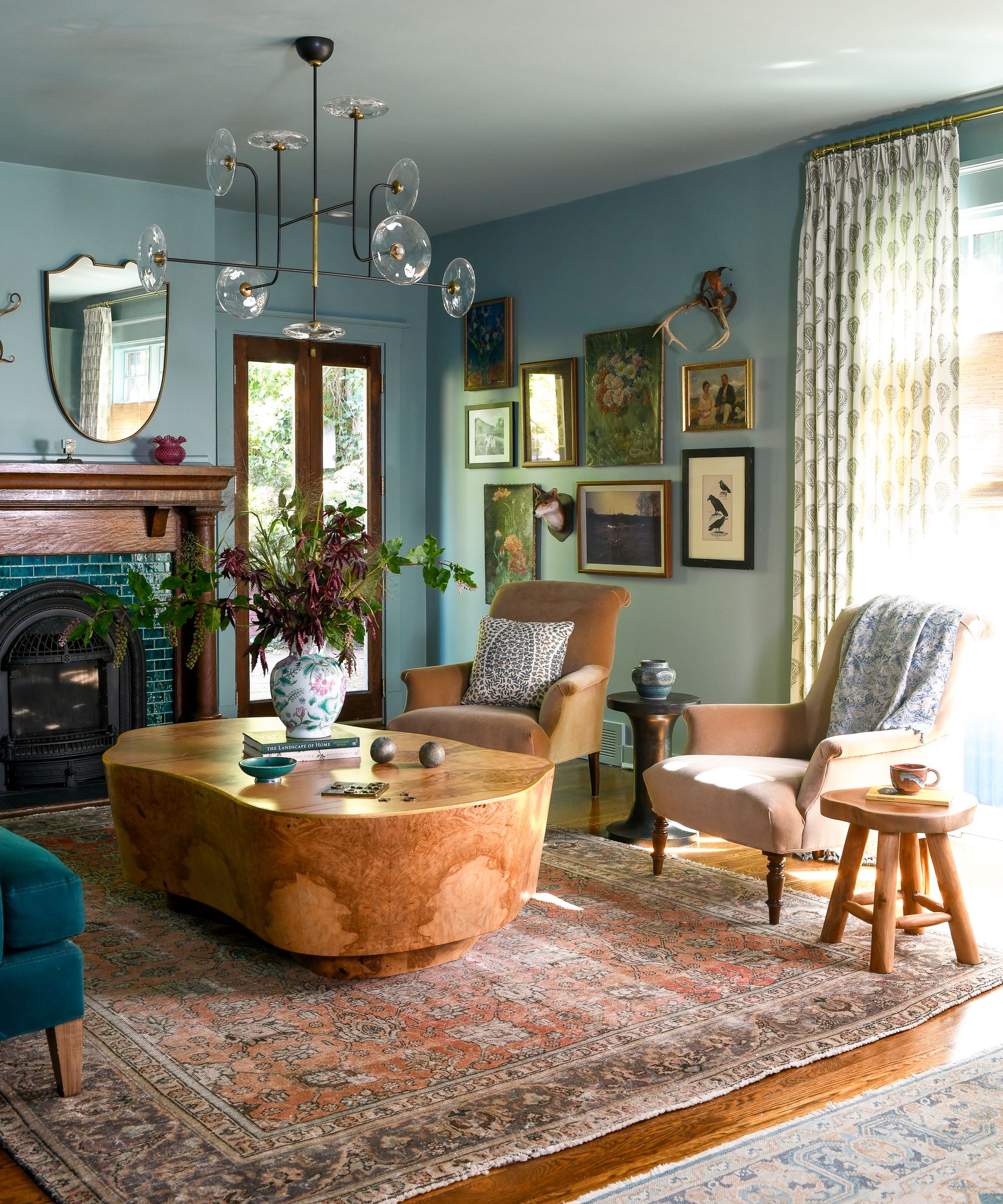 A living room with teal walls, patterned curtains, a pink vintage rug, a burl coffee table, and pink accent chairs.