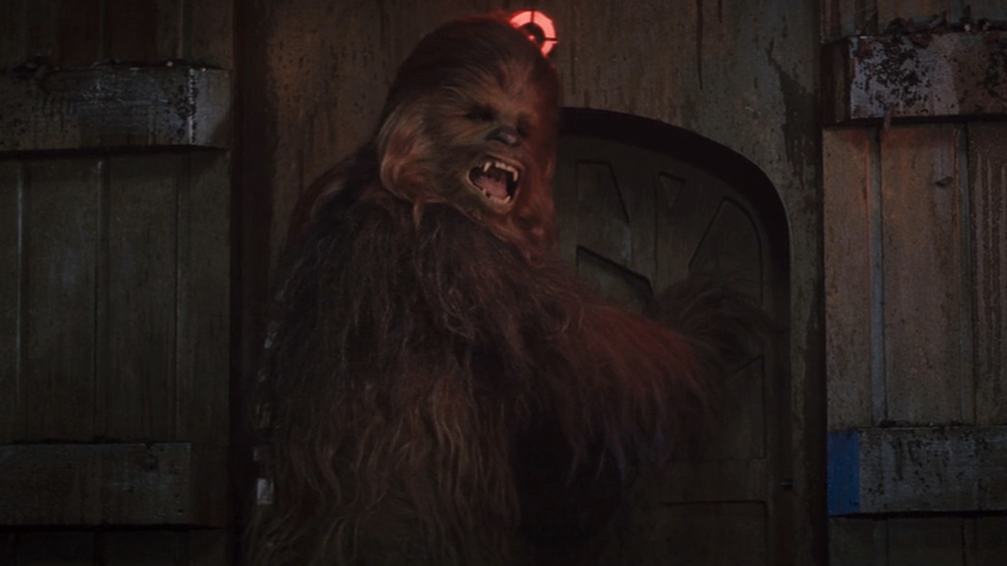 Chewbacca (Peter Mayhew) looks back in Star Wars: A New Hope.