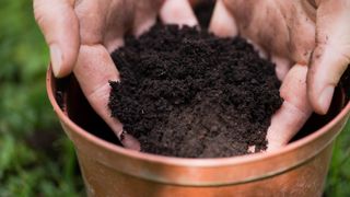 Potting soil in pot