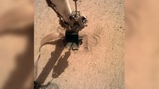 An image taken on June 3, 2020, shows the arm of the InSight lander gently pushing the heat probe into Mars.
