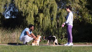Dog owners talking in the park