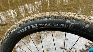 WTB Trail Boss tire detail shot