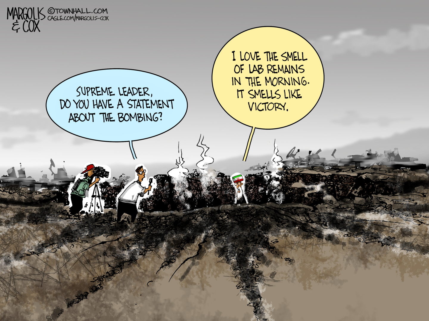Political Cartoon