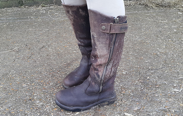 boots tt