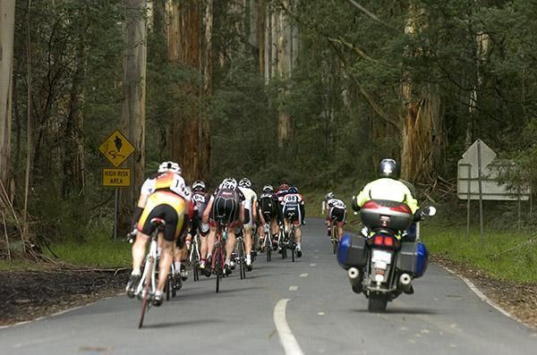 Riders enter a high risk area in the woods on stage three.