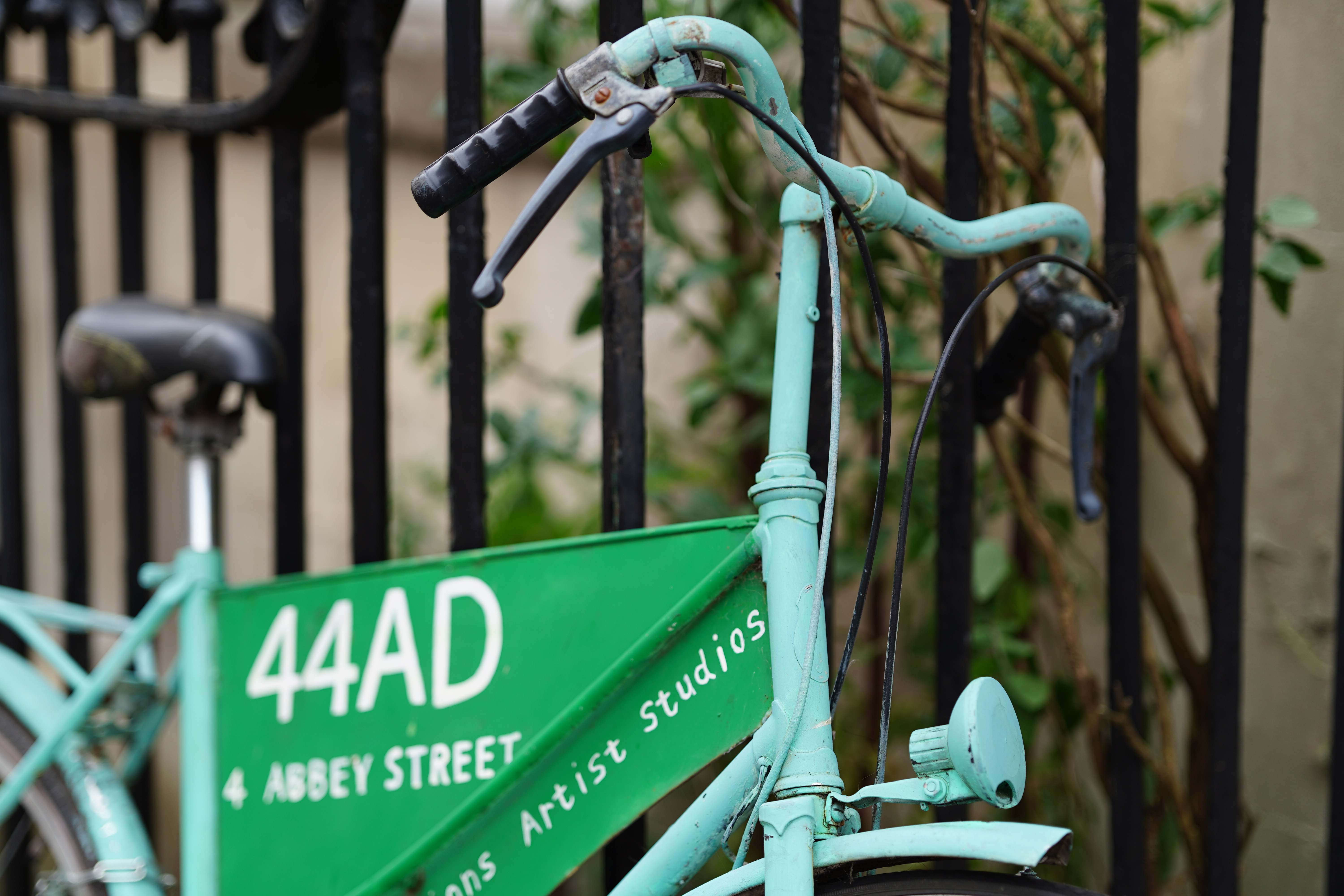 Meike AF 85mm f/1.8 SE II sample image