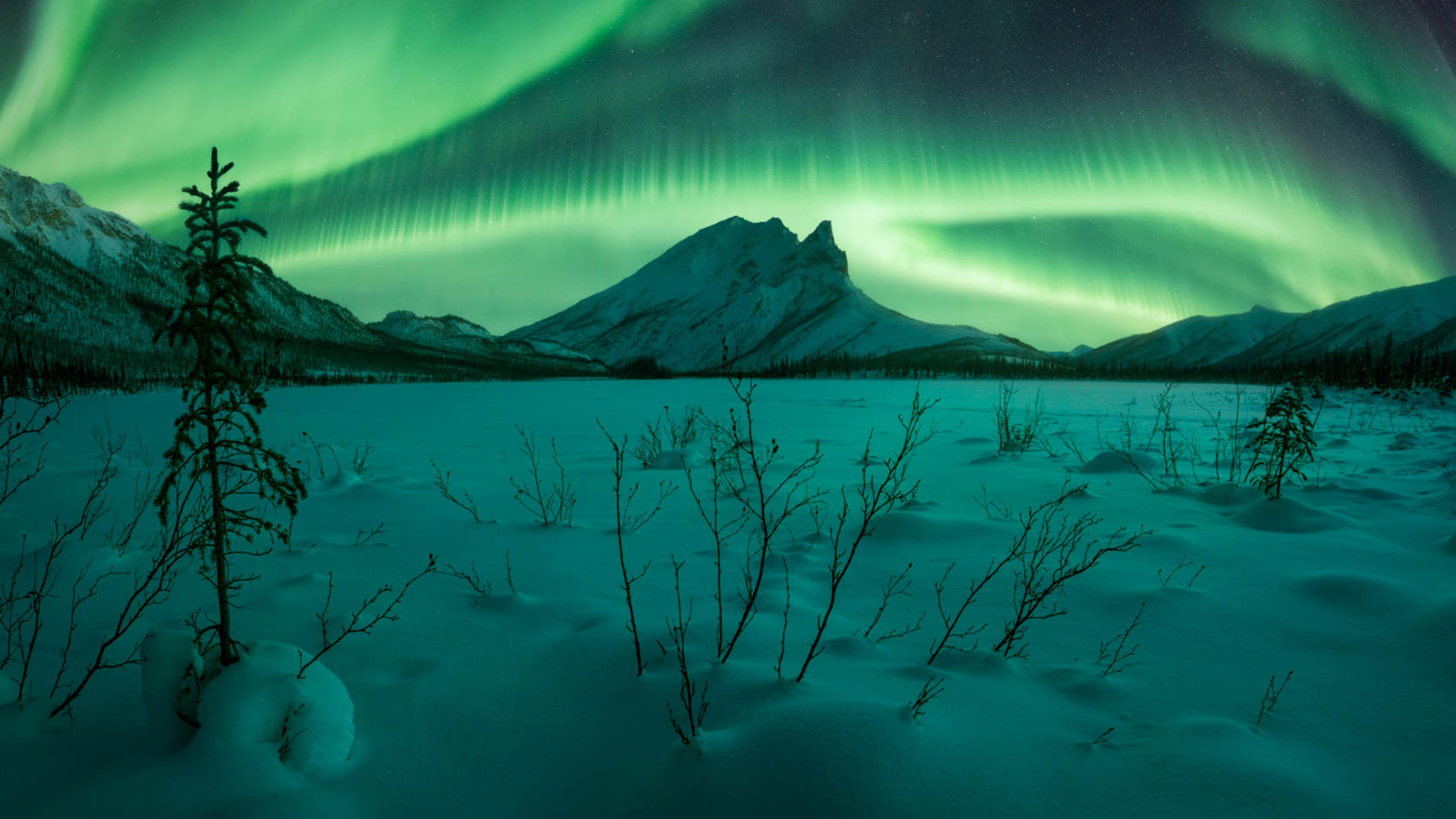 Green northern lights over Sukakpak Mountain in Alaska, USA.