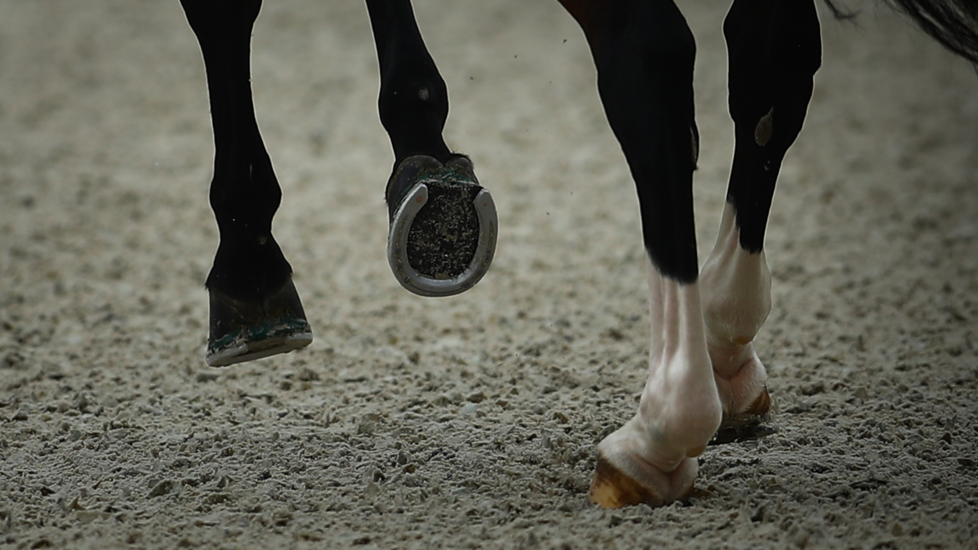 Pictured a horse's hooves in an arena