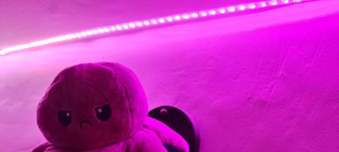 Govee LED Strip Light M1 review: the future's bright, remarkably