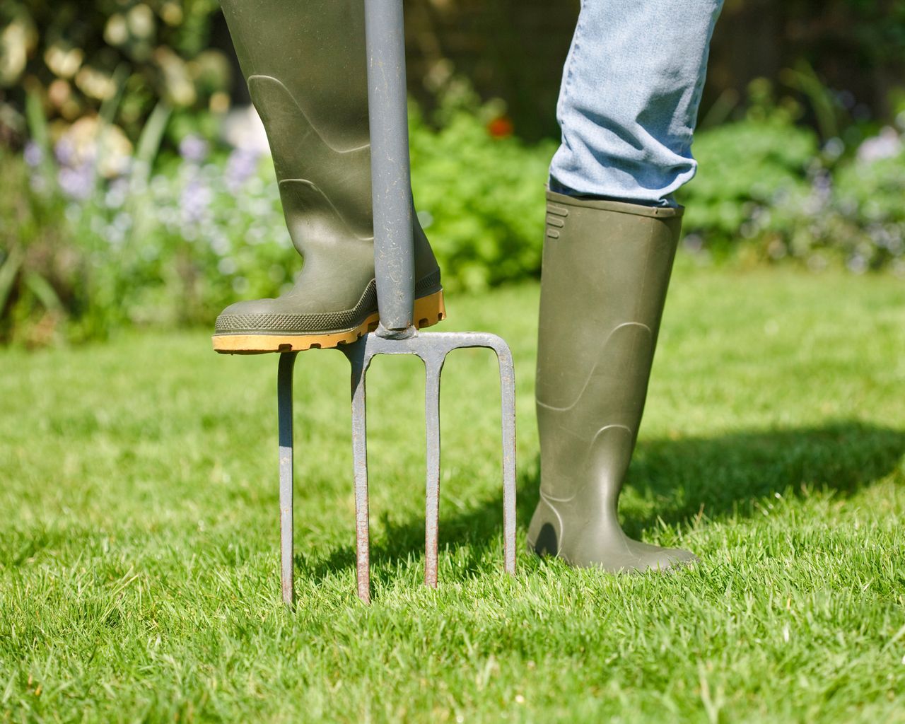 How to aerate a lawn, with expert tips from Monty Don Gardeningetc
