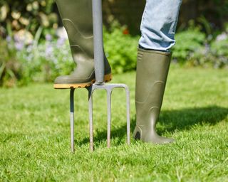 person wearing wellies aerating a lawn with a garden fork