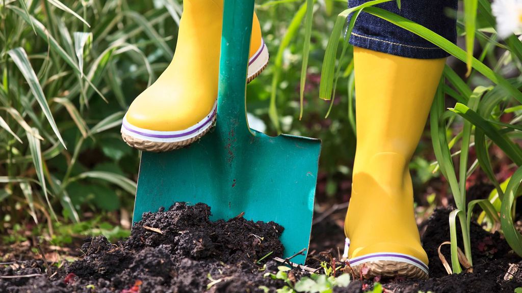 clay-soil-top-tips-for-gardening-success-gardeningetc