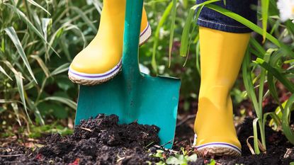 digging soil