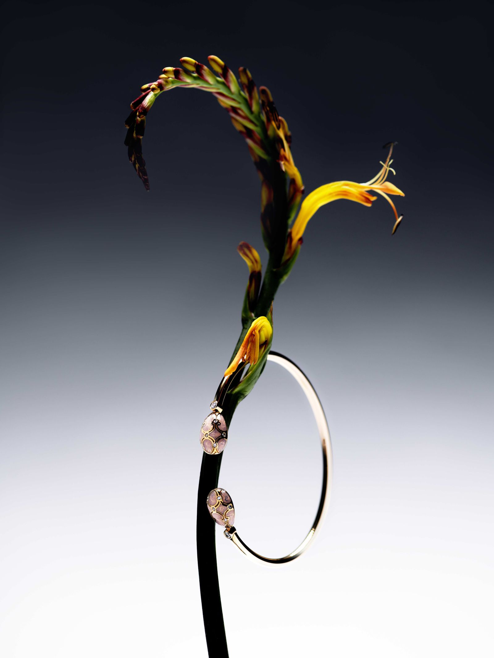 Fabergé jewellery celebrates colour and craftsmanship | Wallpaper
