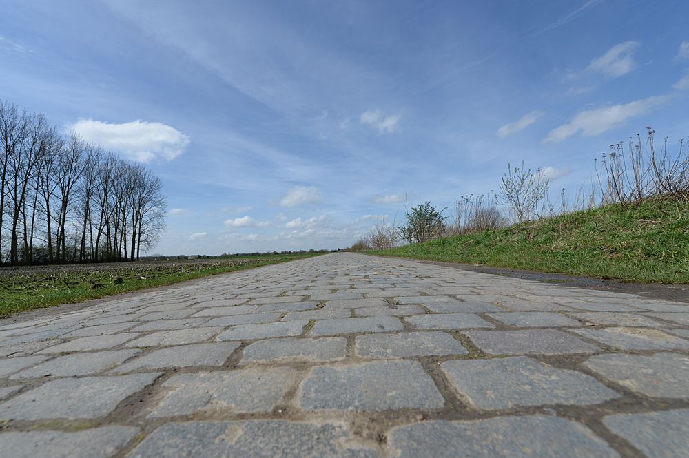 Movistar training on the Paris-Roubaix cobbles as recon for stage 9 at the Tour de France