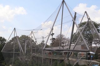 the aviary at london zoo with its peaks and net enclosure