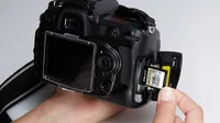 PNY Elite Performance SD cards for up to 30% off