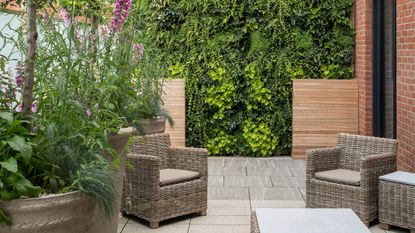 An example of living wall ideas showing rattan garden furniture in front of a green living wall