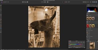 Affinity Photo on Mac showing off editing tools