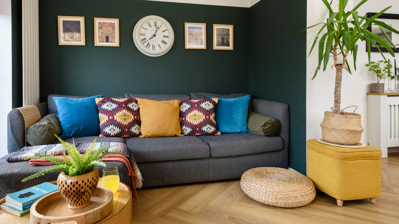 Grey sofa in teal living room with wood flooring and houseplants