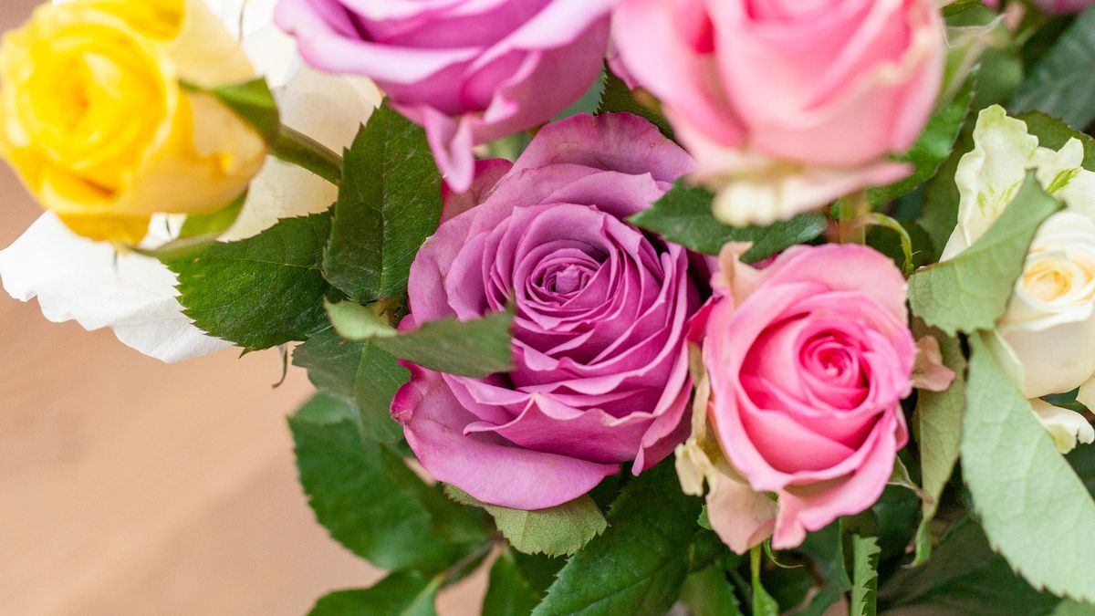Valentine's Day flowers