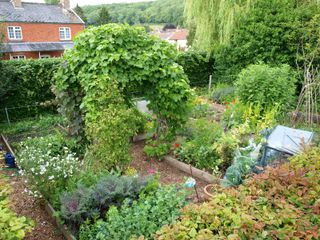 kitchen garden ideas: archway of runner beans in veg plot