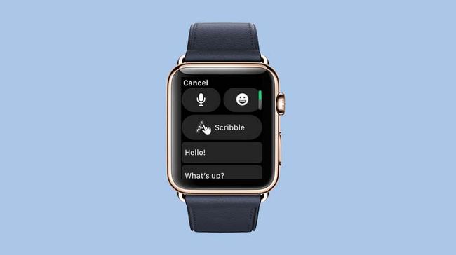 hangouts for apple watch