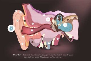 The site aims to educate students about the workings of the ear