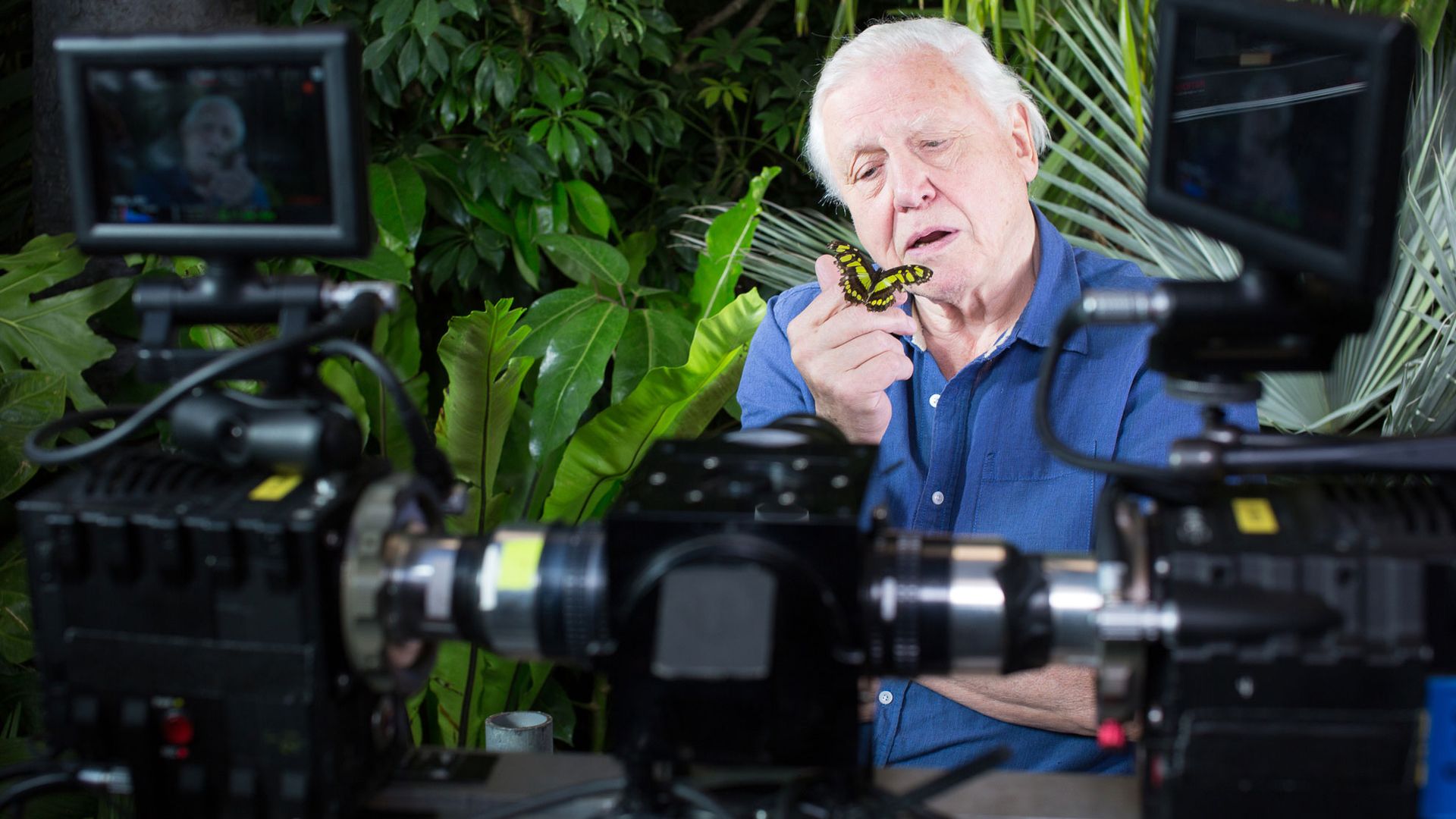 Here's what Sir David Attenborough thinks about the threat to the BBC