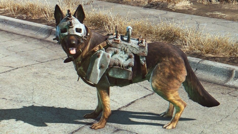 how to reset dogmeat fallout 4 reunions quests