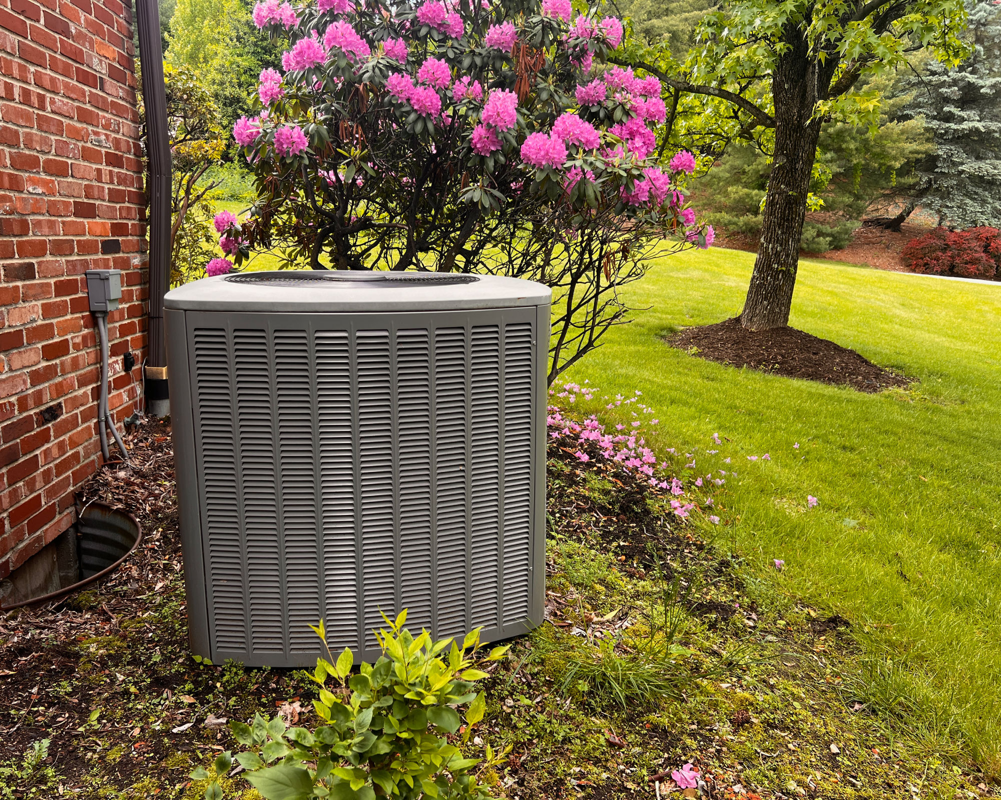 air conditioner outside house next to rhododendron bush