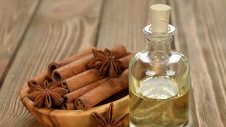 Cinnamon sticks with oil in a glass bottle