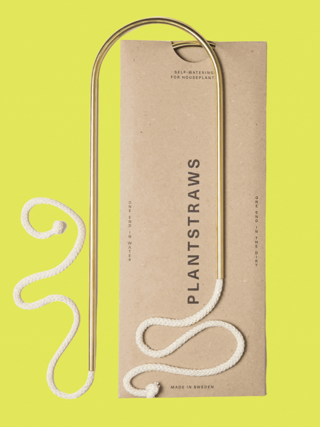 A GIF of a curved gold plant straw from Beards &amp;amp; Daisies