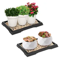 &nbsp;Actimed 2-pack Bonsai Humidity Tray: £9.99 at Amazon