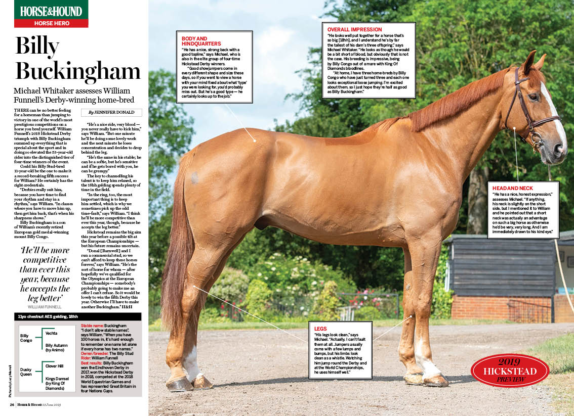 FT 2pp Horse hero Billy Buckingh