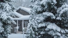 Snowy house in a pine forest