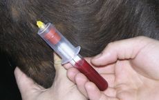 Blood test